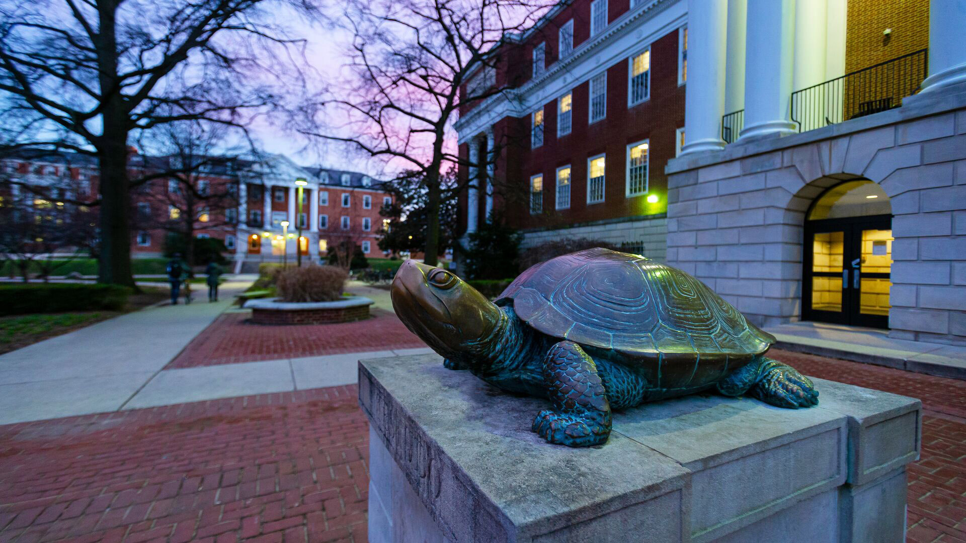 Testudo the UMD mascot